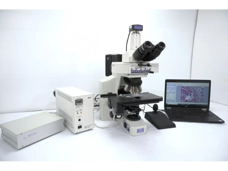 Nikon E600 Upright Fluorescence Motorized Microscope (New Filters) Pred Ni-U